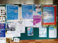 -香港大学