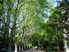 去图书馆路上-华东理工大学徐汇校区-图书馆