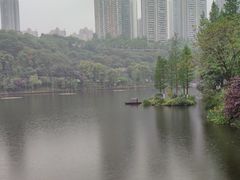 -重庆彩云湖湿地公园