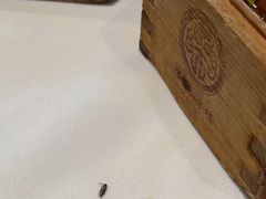 -怀德酒楼·粤菜·海鲜·茶点(宝安国际机场店)