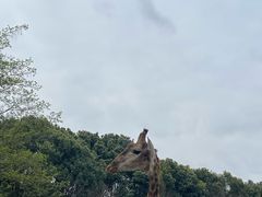 -国际非物质文化遗产博览园