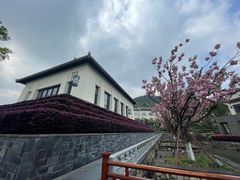 -宁波柏悦酒店·钱湖渔港