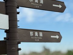 -盐城丹顶鹤湿地生态旅游区