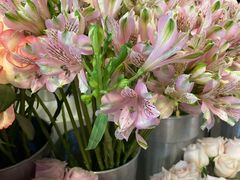 -怡花宜木鲜花店(朝阳路店)