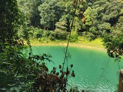 -广州市流溪河国家森林公园