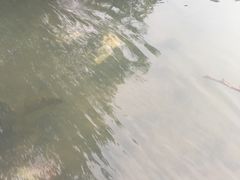 -碧水湾温泉