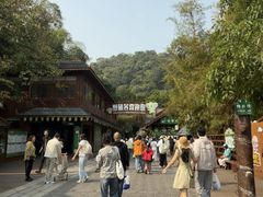 -野象谷景区