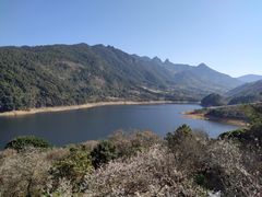 -广州市流溪河国家森林公园