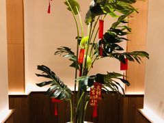 -森Some Fusion(荔湾店)