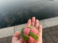 -北京稻香村(零号店)