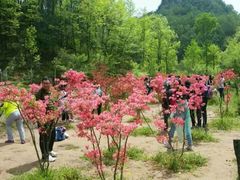 -西泰山风景区