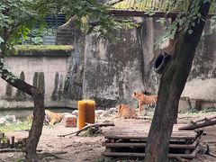 -上海动物园(地铁站)