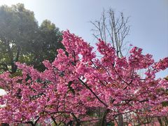 -大宁公园