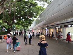 -利强记北角鸡蛋仔(弥敦道店 )