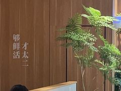 -新太二·鲜料川菜(花都融创茂店)