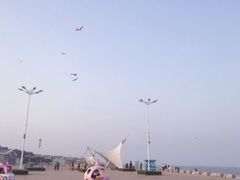 -渡海小渔村.老辈日照菜