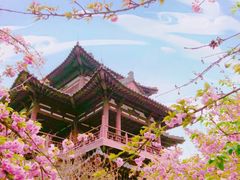 -西安青龙寺遗址景区
