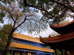-普陀山风景名胜区-法雨禅寺