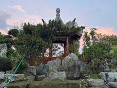-东莞植物园