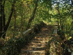 -青龙山国家森林公园