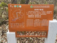 -朱雀国家森林公园
