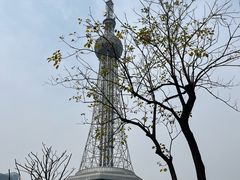 -文华公园(禅城区)