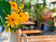 -北马山庄植趣咖啡