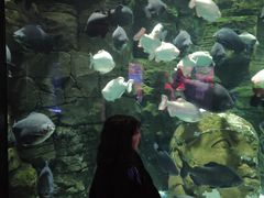 -成都浩海立方海洋公园