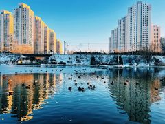 -前关湿地公园