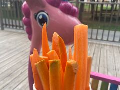 -北京鹿世界主题园