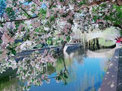 -海棠花溪(元大都城垣遗址公园)