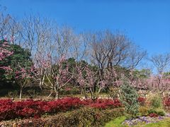 -茅山东方盐湖城景区