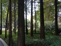 -晓港公园