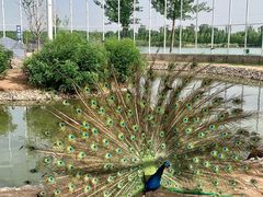 -香山公园