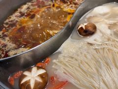 -销魂美蛙鱼头火锅(上海首店)