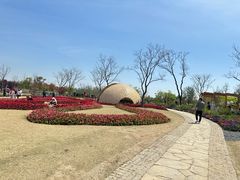 -苏州上方山国家森林公园