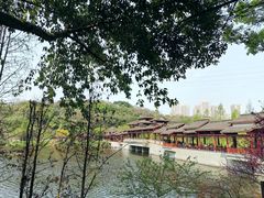 -重庆彩云湖湿地公园