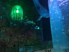 -青岛嘉年华主题乐园