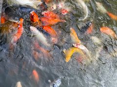 -珠海圆明新园