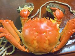 -黄记大闸蟹专卖店·活蟹·醉蟹