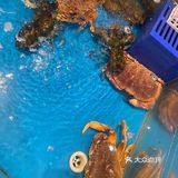 永辉超市仓储会员店