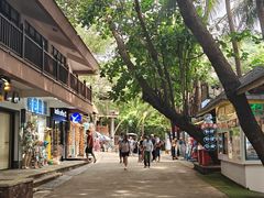 -海南分界洲岛旅游区