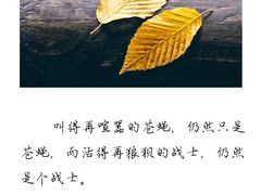 -三亚市图书馆