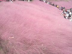 -牛岗山公园