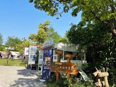 -上海海湾国家森林公园