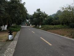 -张坝桂圆林公园