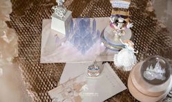 -红丝高端婚礼中心(旗舰店)