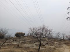 -白水寺森林公园