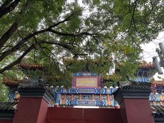-锅儿挑面馆