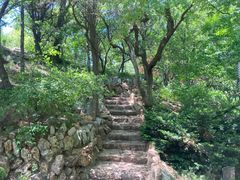 -大连植物园